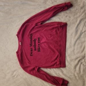 No boundaries pink sweater